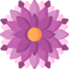 开云 logo